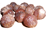 waschn&uuml;sse