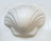 Seifenform Muschel